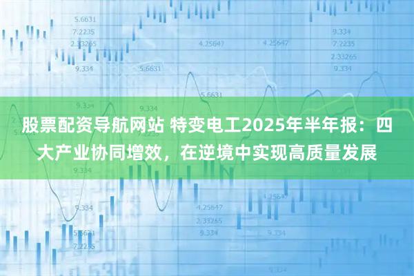 股票配资导航网站 特变电工2025年半年报：四大产业协同增效，在逆境中实现高质量发展